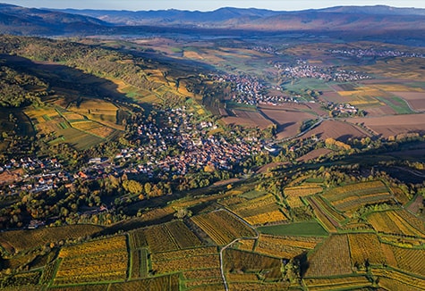 The Couronne d’Or (Golden Ring)