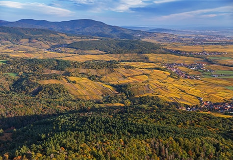 Around Dambach-La-Ville