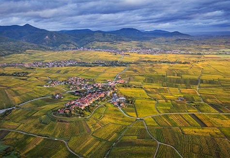 Couronne d'Or en Alsace
