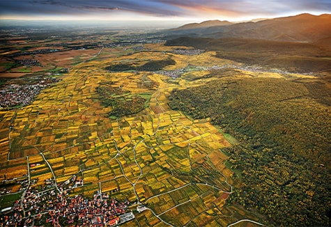Vallée Noble d'Alsace