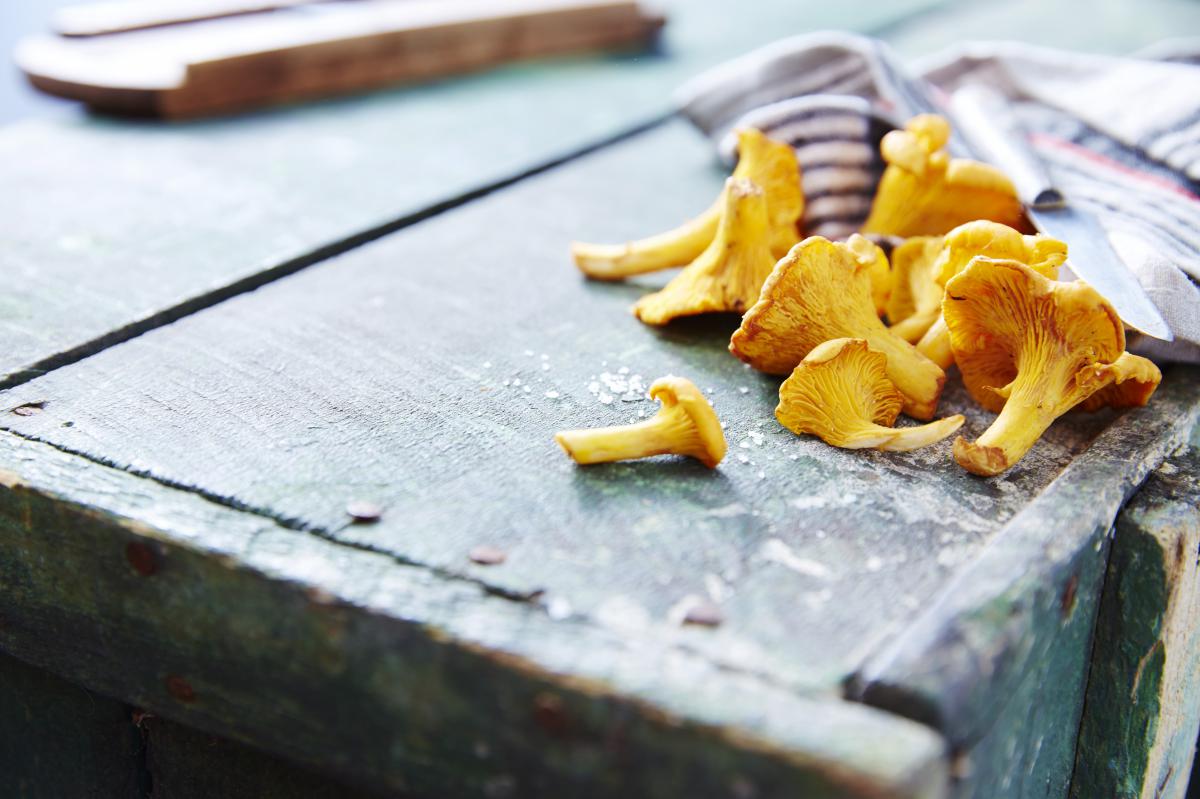 150501-civa-produits-du-mois-girolles244