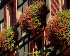 20-maison--copyrighthecht-