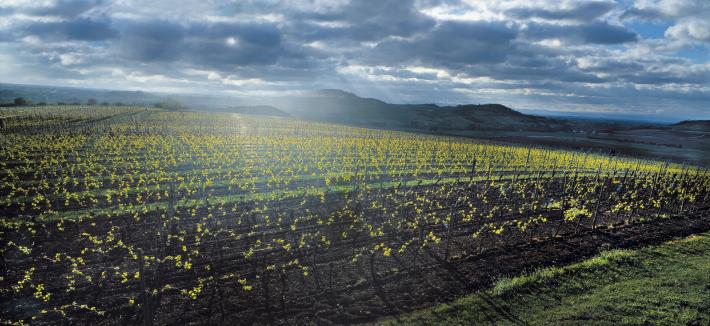 Une exposition et un climat privilÃÂÃÂÃÂÃÂ©giÃÂÃÂÃÂÃÂ©s