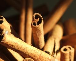 2706-shutterstock 1666217