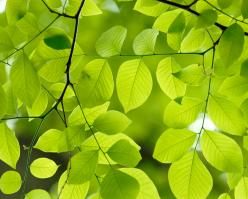 2725-shutterstock 3365095