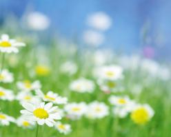 2726-shutterstock 10929727