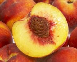 2727-shutterstock 11503306