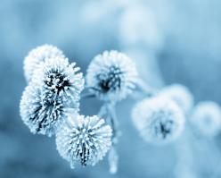 2748-shutterstock 289871