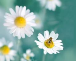 2754-shutterstock 2589079