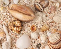 2757-shutterstock 28286691