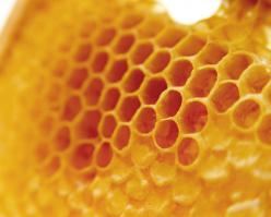 2765-shutterstock 708402