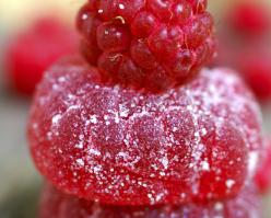 2766-shutterstock 2810428