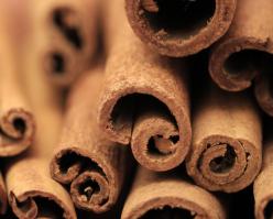 2768-shutterstock 8244307