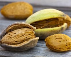 8232-cremant shutterstock 183175700