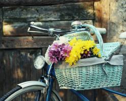 8238-muscat shutterstock 224184685