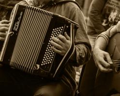 8242-pinotblanc shutterstock 241798609