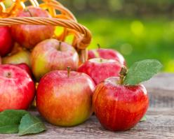 8244-pinotblanc shutterstock 281852282