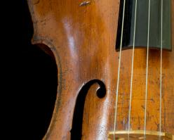 8248-pinotgris shutterstock 283219076