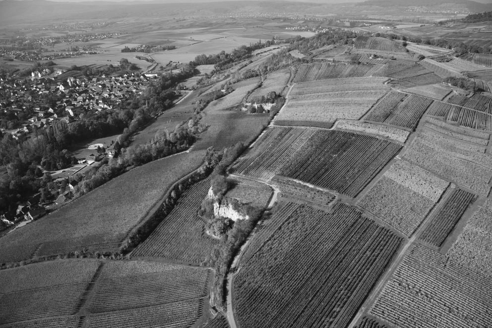 Altenberg de Wolxheim