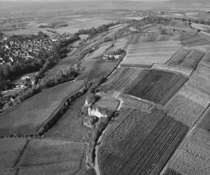 Altenberg de Wolxheim