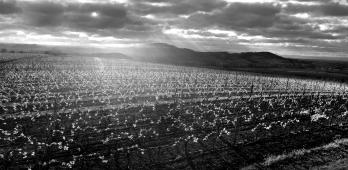 Altenberg de Bergbieten