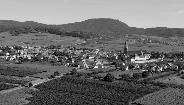 Altenbergbergheim web