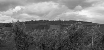 Altenberg de Wolxheim