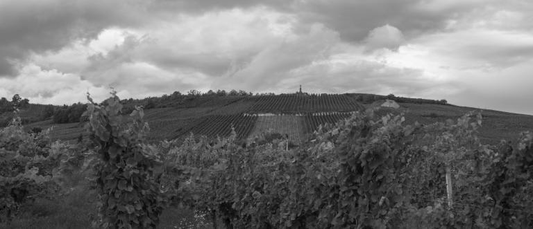 Altenbergwolxheim web