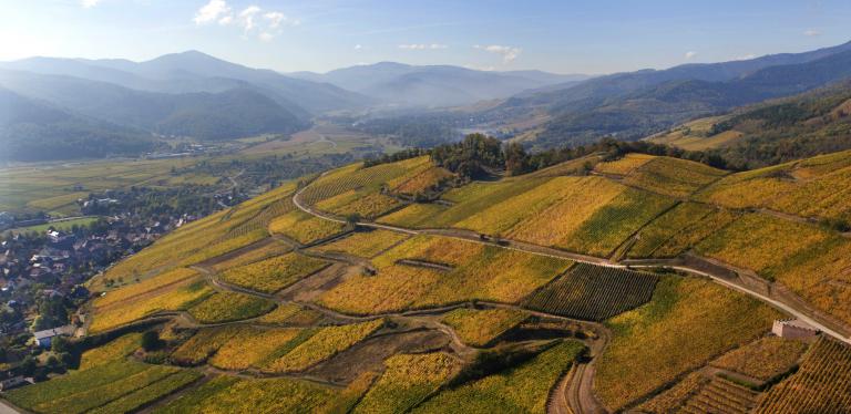 Brand--copyrightzvardon