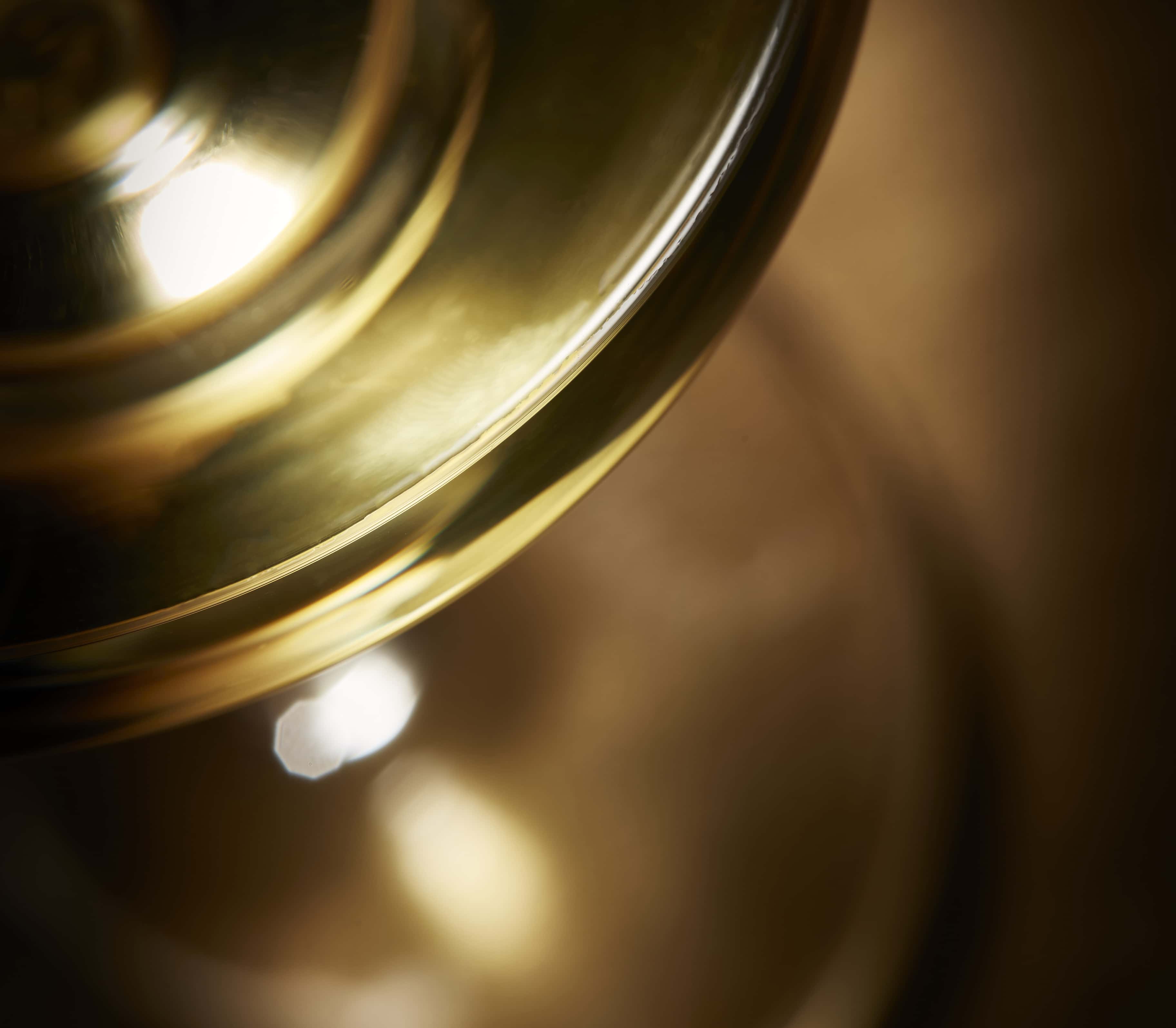 The Great Whites Powerful & Intense