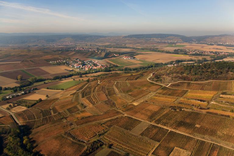 Engelberg--copyrightzvardon-conseilvinsalsace