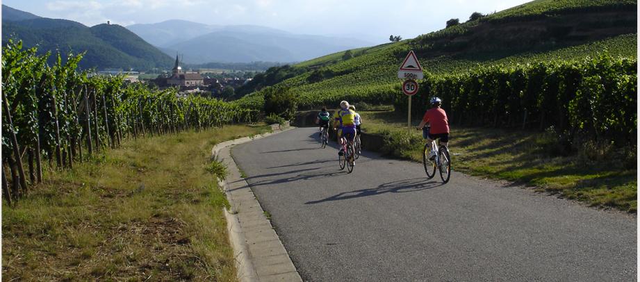 route des vins ÃÂ  vÃÂ©lo 