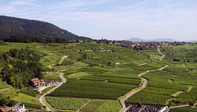 Goldert zvardon civa 2