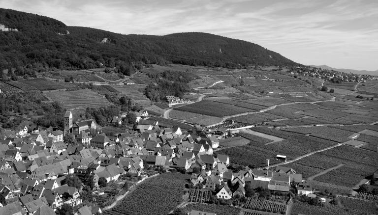 Goldert zvardon civa