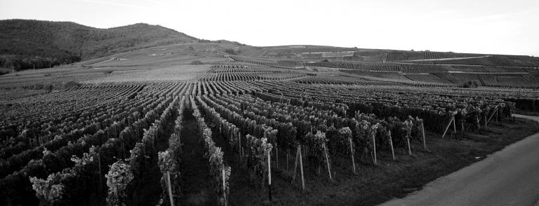 Hengst dumoulin civa