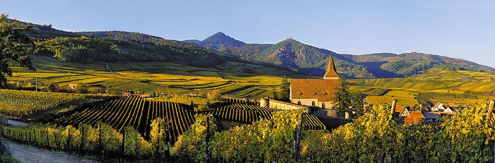 A wine-growing are<br>to be explored