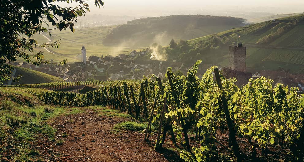 Getting the best<br>from nature