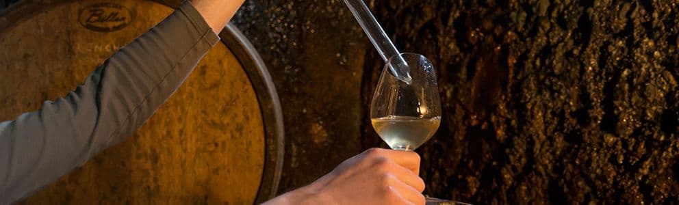 From the vineyard to wine