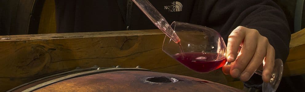 From the vineyard to wine