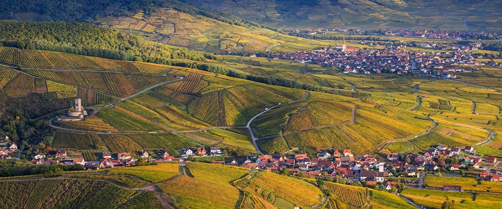 When wine becomes<br>a journey in itself