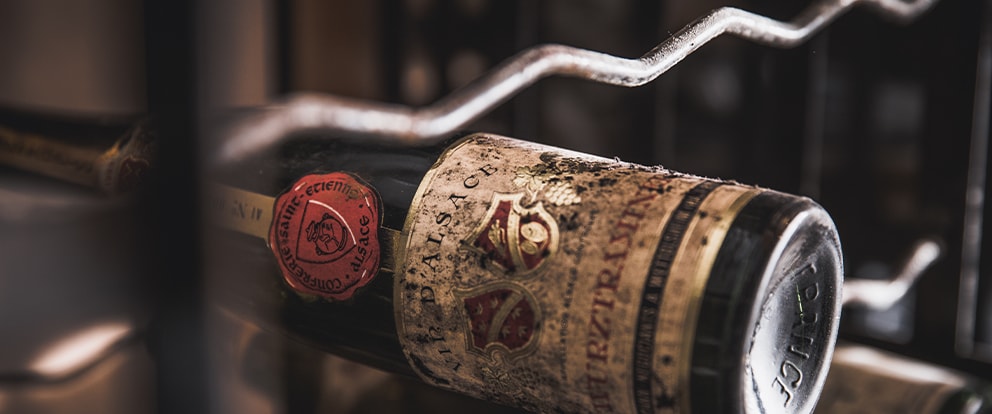 {phrae:gec_palm_nom}