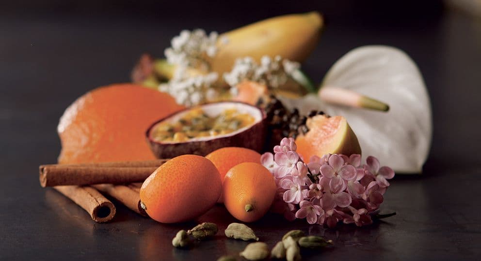 {phrase:gec_cet_titre}