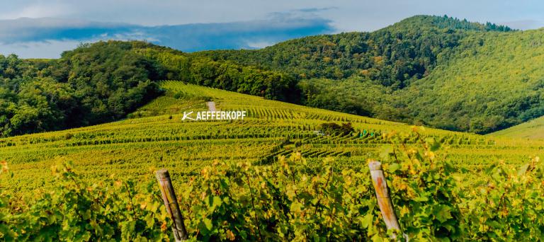 Kaefferkopf thomas civa