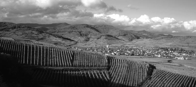 Kaefferkopf zvardon civa