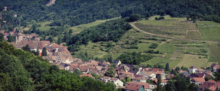 Kastelberg civa svardon