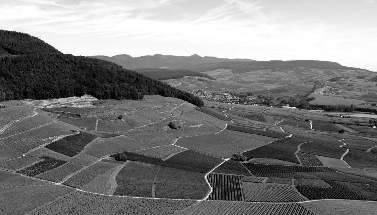 Kessler zvardon civa