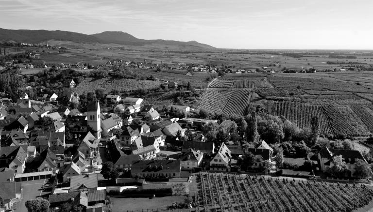 Mandelberg zvardon civa