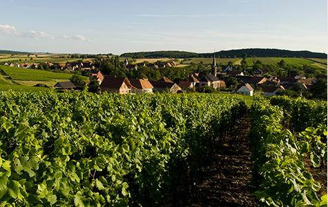 the Wissembourg region
