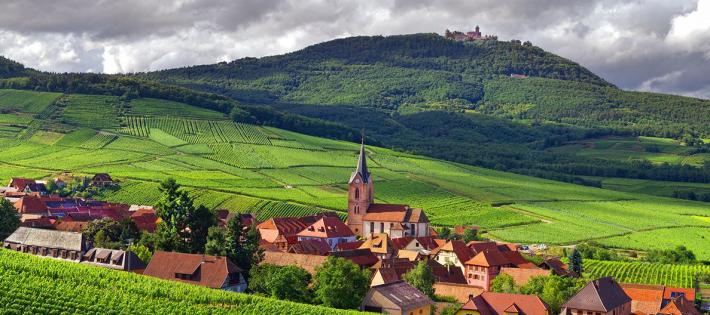 A blend of the variety's fruit notes and the minerality of the terroir.