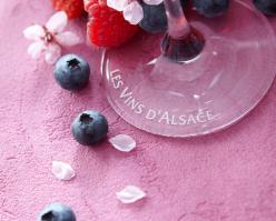 Pinotnoir-creationsetoile-conseilvinsalsace